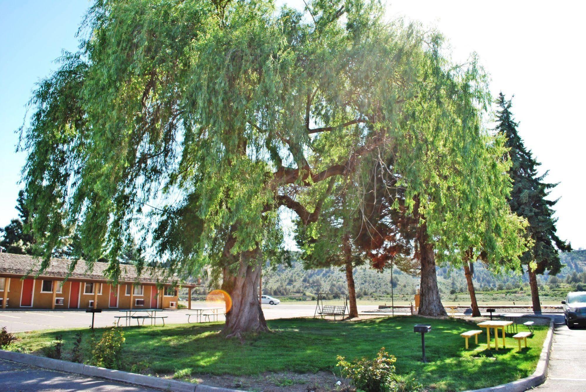 Oregon Motel 8&RV Park Klamath Falls Buitenkant foto